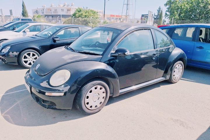 Beetle