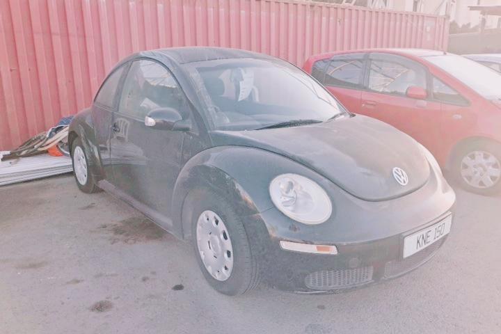 Beetle