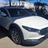Cx30