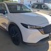 Cx5